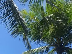 -白沙门生态公园