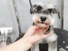 -宠福鑫康馨动物医院·骨科·眼科