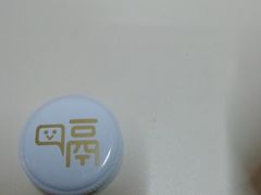 -武汉知音号