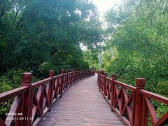 -大亚湾红树林城市湿地公园