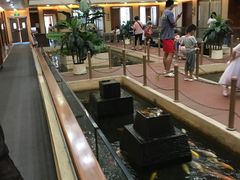 -太子园林酒家