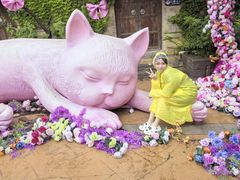 -青岛方特梦幻王国