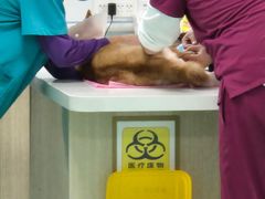 -北京观赏动物医院·24小时大型综合·猫专科·异宠专科