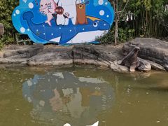 -海合安武汉极地海洋公园