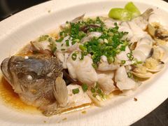 葱油淋鲜白贝鲈鱼-粤·向群饭店(二沙岛店)