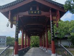 -南汇桃花村