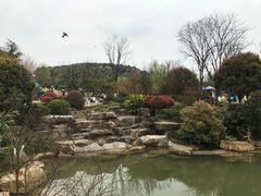 -铁山坪森林公园