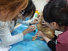 -美联众合动物医院·24h京西诊疗中心