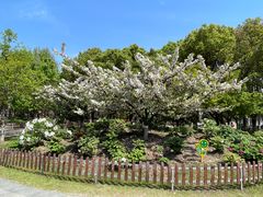 -江南大学(蠡湖校区)