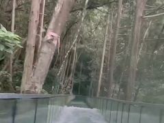 -龙湾潭国家森林公园