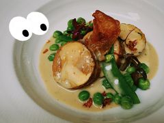 -蝶舍·MAISON PAPILLON