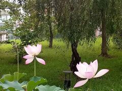 -中国计量大学(西校区)