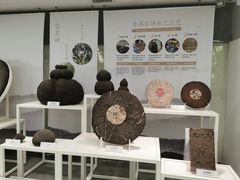 -中国茶叶博物馆(双峰馆区)