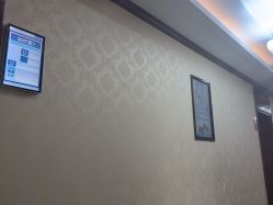 -南京医科大学友谊整形外科医院