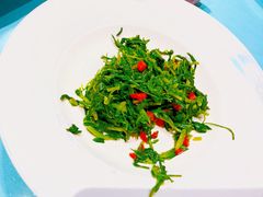 -魏铭鱼头捞饭(晋阳路店)