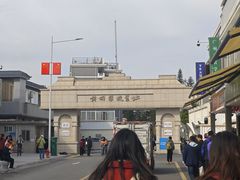 -长洲岛