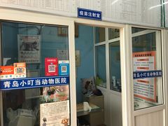 -小叮当动物医院·骨科·眼科