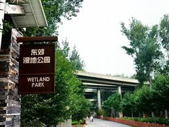 -东郊湿地公园