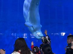 -泉城欧乐堡海洋极地世界