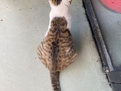 -傅先生东北菜(青年城店)