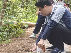 -五营红松林海景区