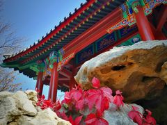 -宣武艺园
