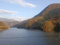 -大九湖