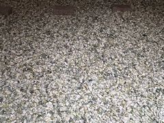 -星河湾温泉洗浴酒店