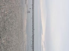 -奉贤海滩