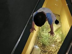 -武汉园博园(武汉自然博物馆)