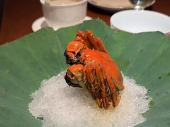 -觀芷隐轩