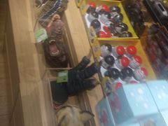 -九木杂物社(恒隆广场店)