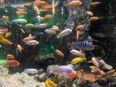 -太平洋海底世界