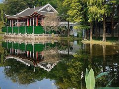 -顺峰山公园