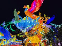 -厦门园林博览苑