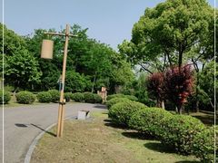 -梁鸿国家湿地公园