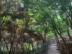 -崂山巨峰游览区