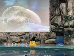 -威海华夏城景区