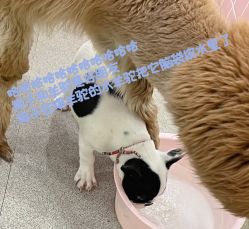 -Moni星球萌宠·小马宝莉·灵蛇·高端高阶全萌宠互动体验俱乐部(红豆国际广场店)