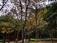-金山公园