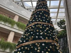 -广州白天鹅宾馆