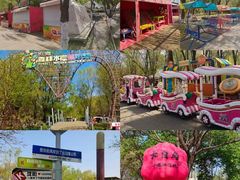 -长白岛森林公园