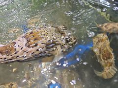 -聚鲜阁海鲜美食城(香水湾店)