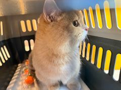 -Manner Coffee(星方汇广场店)