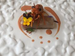 -九献创意菜·新中式(亮马河花园私宴店)
