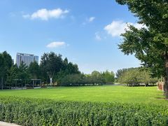 -大望京公园