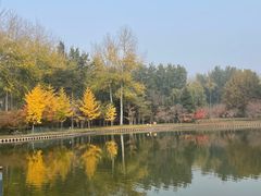 -仁和公园(顺义区)