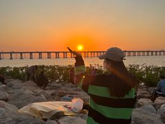 -宝安西湾红树林湿地公园