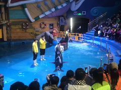 -烟台海昌鲸鲨海洋公园