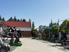 -上海长兴岛郊野公园